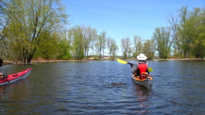 PETRIE ISLAND
