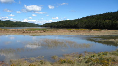 Post-paddle view of right side of Barn Marsh Creek