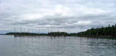 Fish Weir