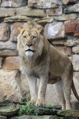 Fort Worth Zoo 2018