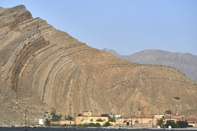 DS113.jpg