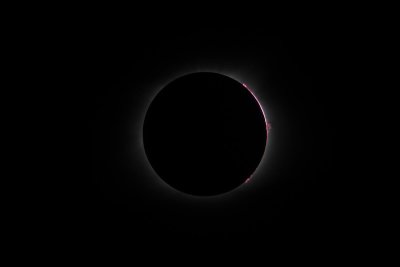 20170821-DSC05069 (Custom).jpg