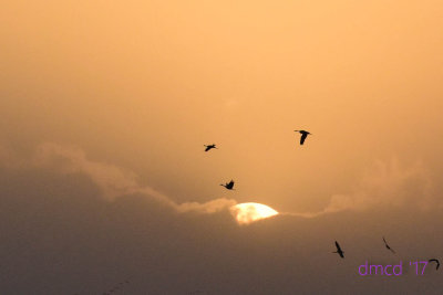 DMC_0621-2.jpg