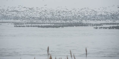 DSC_7180.jpg