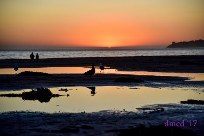 DMC_8866.jpg