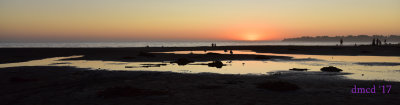 DMC_8868.jpg