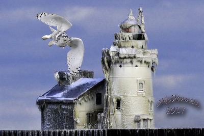 Snowy by Lighthouse.jpg