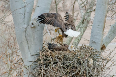 DSC_3402.jpg
