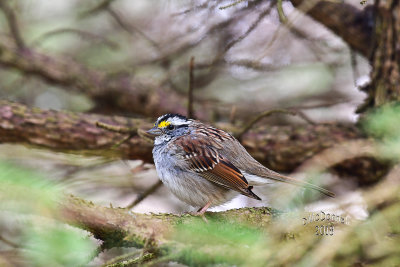 DSC_7543.JPG