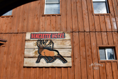 elk_of_benezette
