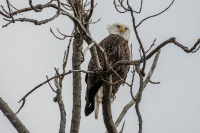 DSC_6208.jpg