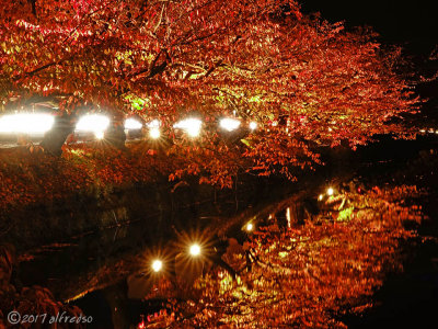 Hirosaki 青森弘前