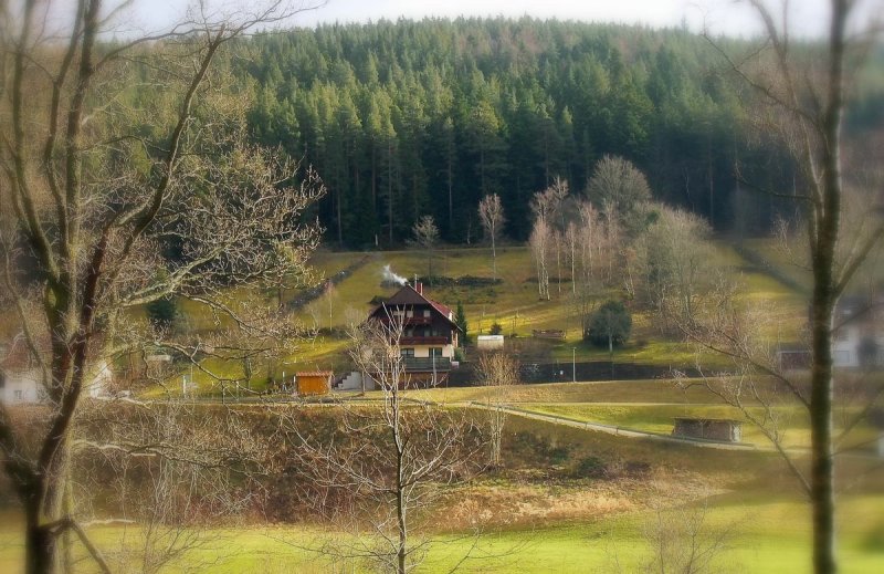 the northern black forest