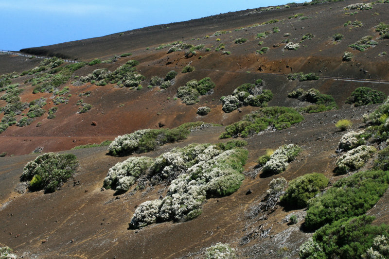 the flanks of the volcano