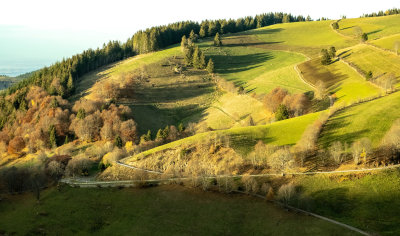 Wieden im Schwarzwald _ 3