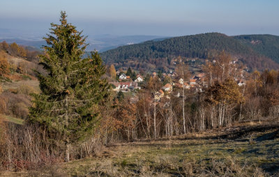 Grendelbruch