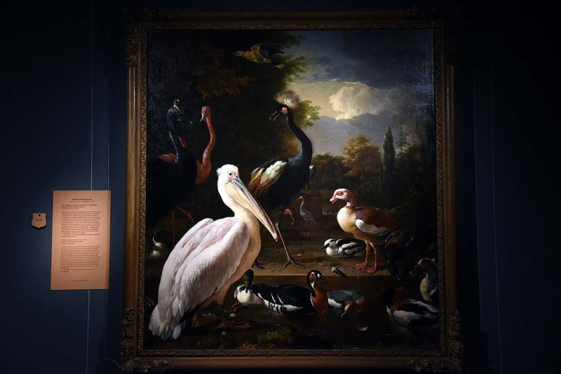 Birds in a Park (1680) - Melchior dHondecoeter - 5269