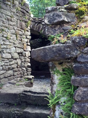 Inchmahome Priory, Lake of Menteith - 0753