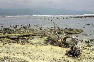 Gili Trawangan, Lombok - 3984