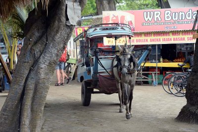 Gili Air, Lombok - 4191