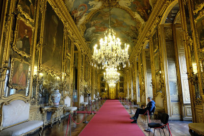 Daniel Gallery - Palazzo Reale, Turin - Torino - 9490