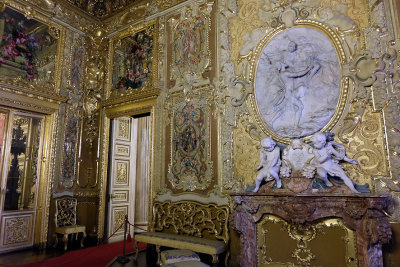 Medallion room - Palazzo Reale, Turin - Torino - 9526