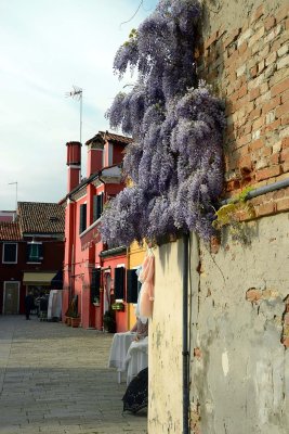 Burano - 6916