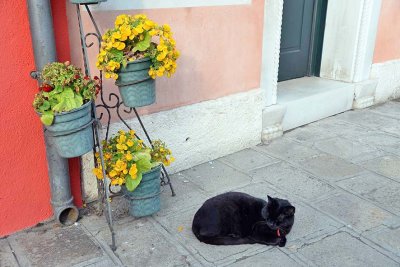Gallery: Murano, Burano