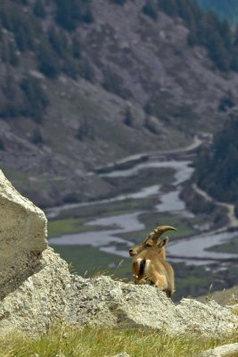 Gallery: Tour du Mont Blanc - Day 3