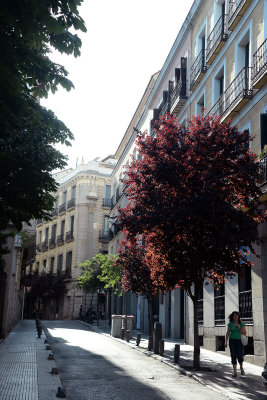 Calle de Zorrilla, Madrid - 9545