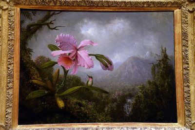 Orchid and Hummingbird near a Waterfall, 1902 - Martin Johnson Heade - 9149