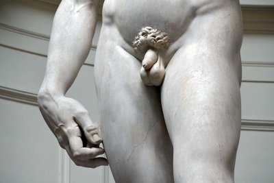 Michelangelo - David (1501-1504) - Accademia Gallery, Florence - 7116