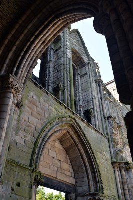 Holyrood Abbey - 5096