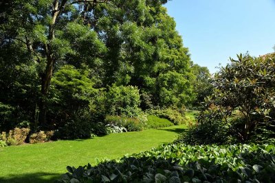 Holyrood Abbey Gardens - 5133
