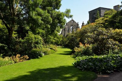 Holyrood Abbey Gardens - 5136