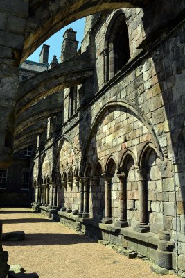 Holyrood Abbey - 5158