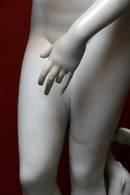 The Venus de Medici, after the antique (1784), detail - Innocenzo Spinazzi - 3250
