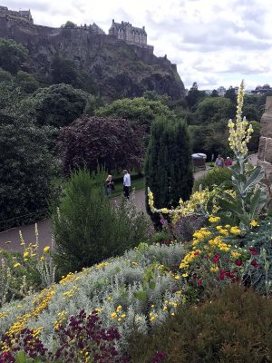 Princes Street Garden and Edinburgh Castle - 8729