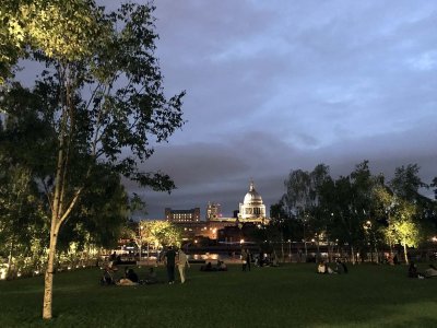 Tate Community Garden and St Paul Cathedral in the background - 9672