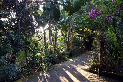 Jardin du Mékong homestay in Cho Lach, Bên Tre - 2692