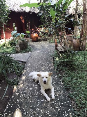 Jardin du Mkong homestay in Cho Lach, Bn Tre - 3782