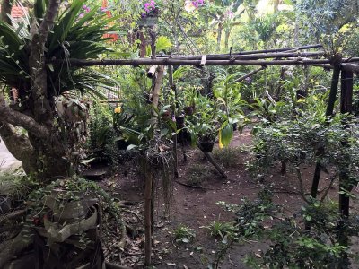 Jardin du Mkong homestay in Cho Lach, Bn Tre - 3818