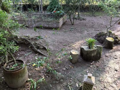 Jardin du Mékong homestay in Cho Lach, Bên Tre - 3820