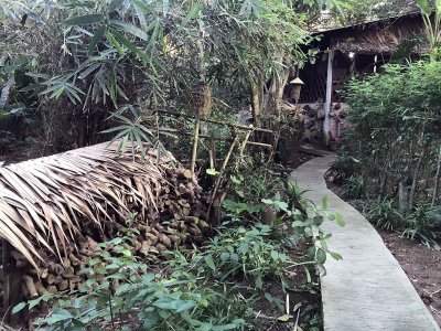 Jardin du Mkong homestay in Cho Lach, Bn Tre - 3894