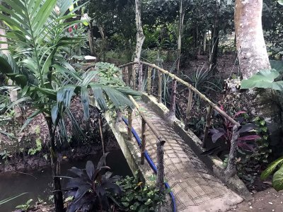 Jardin du Mkong homestay in Cho Lach, Bn Tre - 4008