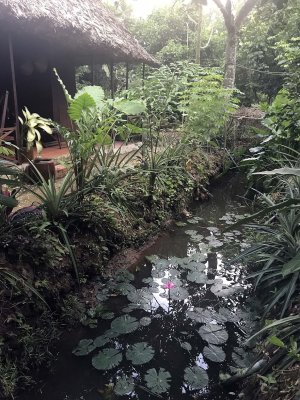 Jardin du Mkong homestay in Cho Lach, Bn Tre - 4011
