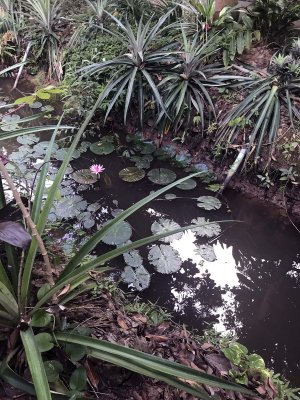 Jardin du Mékong homestay in Cho Lach, Bên Tre - 4013