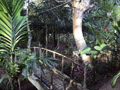Jardin du Mékong homestay in Cho Lach, Bên Tre - 4027