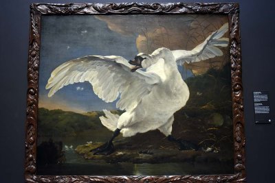 The Threatened Swan (1660) - Jan Asselijn - 4416