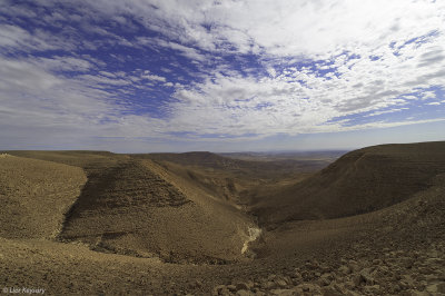 Negev desert Israel  1036 